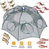 Foldable Fishing Bait Net Trap Crab Net Shrimp Minnow Crawdad Fish Cast Dip Cage Mesh Automatic Contraction